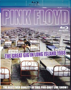 pinkfly-great-gig-long-island1