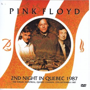 pinkfly-87night-qubec