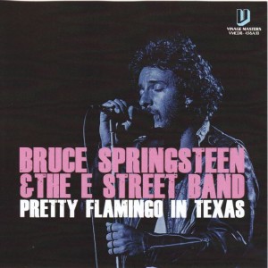 brucespring-pretty-flamingo-texas1