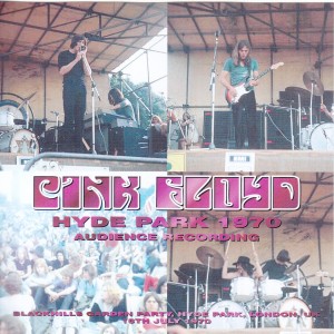 pinkfly-hyde-park-audience-recording1