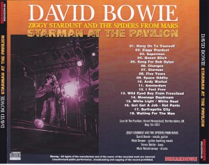 davidbowie-starman-at-the-pavilion2