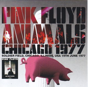 pinkfly-77-chicago1